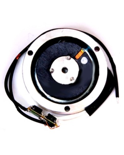 Электромагнит BY1500T Came 119RIY034 в Черкесске Запчасти для шлагбаумов и автоматики Pintop.ru