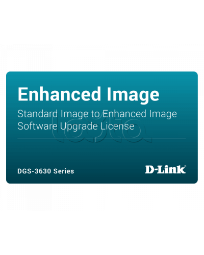 ПО D-Link DGS-3630-28PC-SE-LIC в Черкесске Беспроводное оборудование Pintop.ru