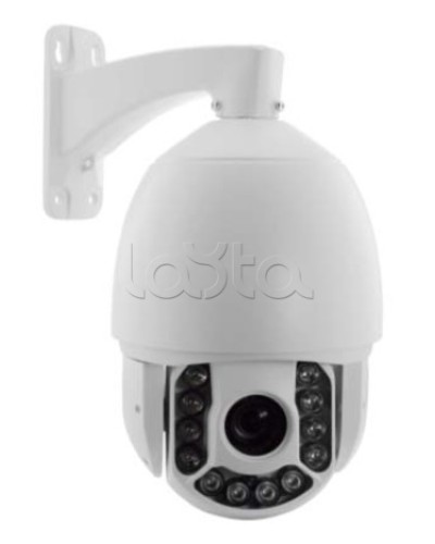 IP-камера видеонаблюдения купольная EverFocus ACE-ATE2033 в Черкесске IP-камеры Pintop.ru