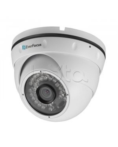 IP-камера видеонаблюдения купольная EverFocus ACE-IAV30 в Черкесске IP-камеры Pintop.ru