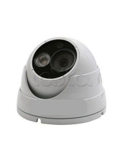 IP-камера видеонаблюдения купольная EverFocus ACE-IEB50P в Черкесске IP-камеры Pintop.ru