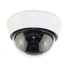 IP-камера видеонаблюдения купольная EverFocus ACE-IOV20A