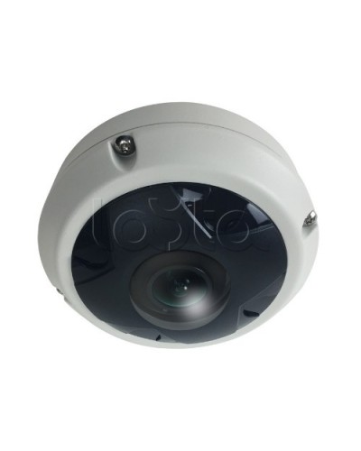 IP-камера видеонаблюдения купольная EverFocus ACE-KU89F в Черкесске IP-камеры Pintop.ru