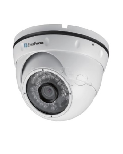 IP-камера видеонаблюдения уличная купольная EverFocus EBN-268 в Черкесске IP-камеры Pintop.ru